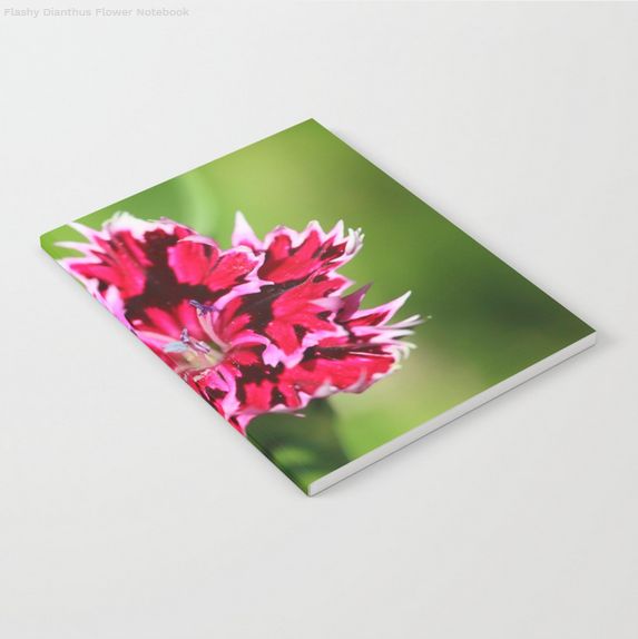 Flashy Dianthus Flower Notebook.jpg