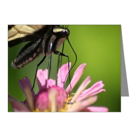 colorful_yellow_swallowtail_butterfly_note_cards2.jpg