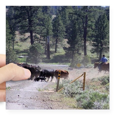 cattle drive sticker.jpg