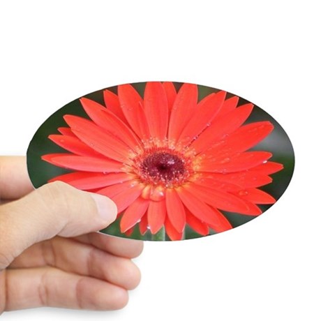 colorful_red_chrysanthemum_flower_sticker 2.jpg
