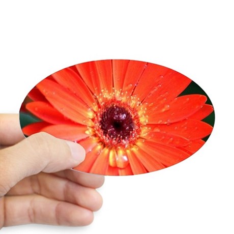 colorful_red_chrysanthemum_flower_sticker.jpg