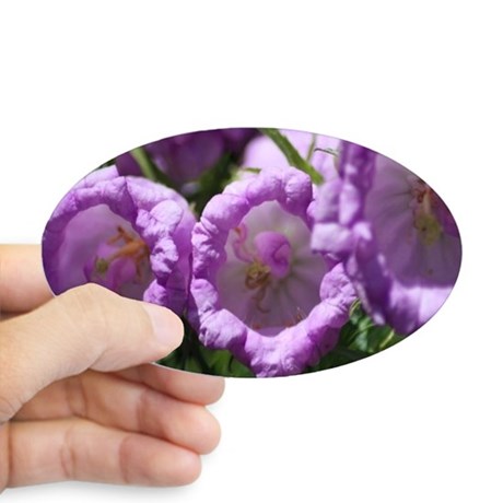 colors_of_the_b_ell_flowers_sticker_oval.jpg