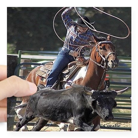 rodeo_roping_sticker.jpg
