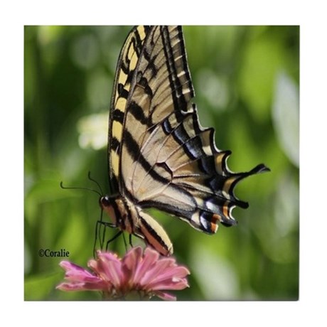 colorful_yellow_swallowtail_butterfly_tile_coaster.jpg