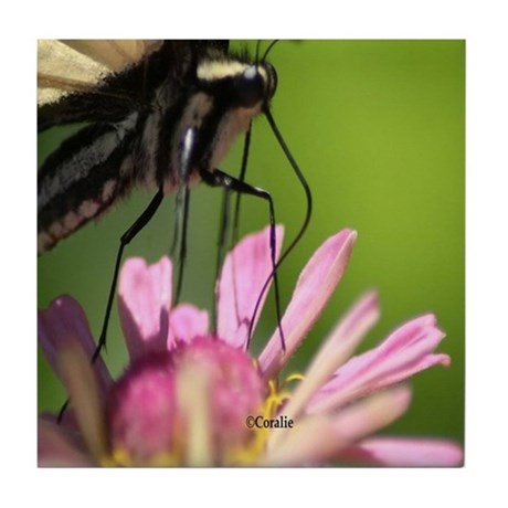 colorful_yellow_swallowtail_butterfly_tile_coaster2.jpg