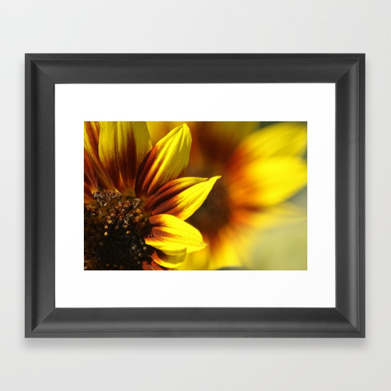 colors-of-the-sunflowers-framed-prints.jpg